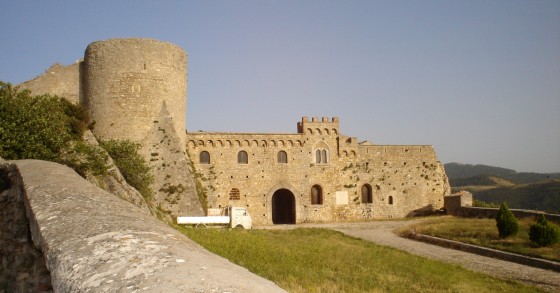 bovino
