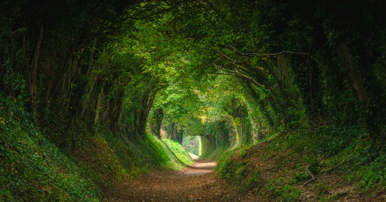 strada delle fiabe