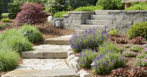 come realizzare un giardino roccioso