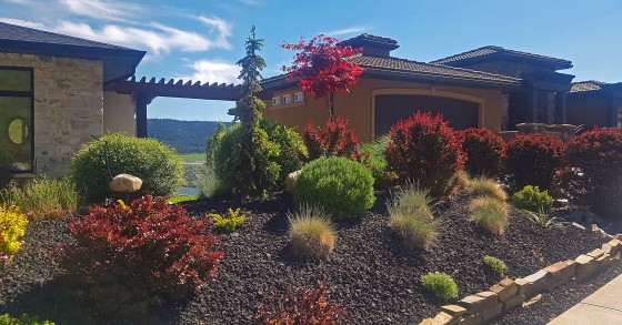 xeriscaping