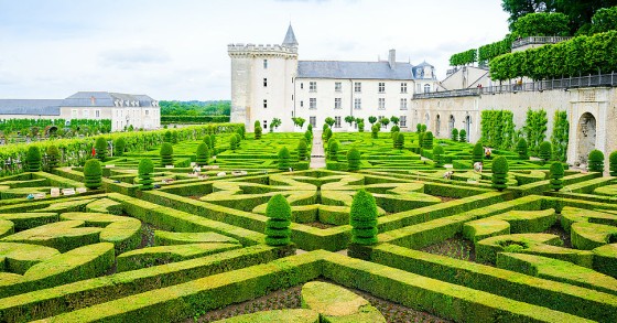 giardini del castello di Villandry