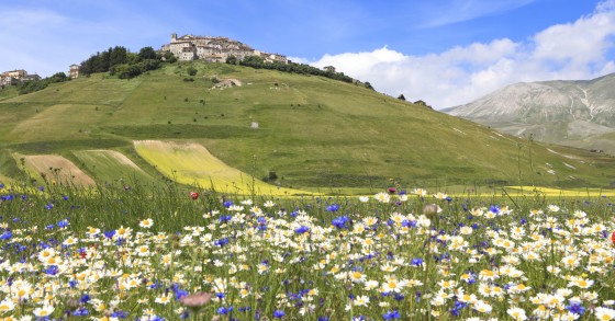 Umbria in primavera