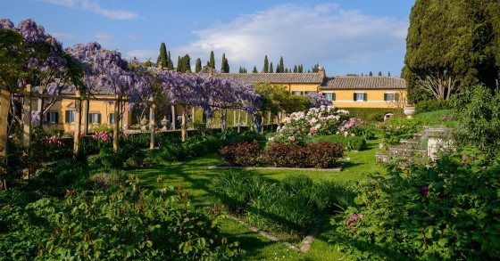 giardino mediterraneo
