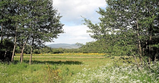 Uno scorcio del Parco Nazionale della Sila