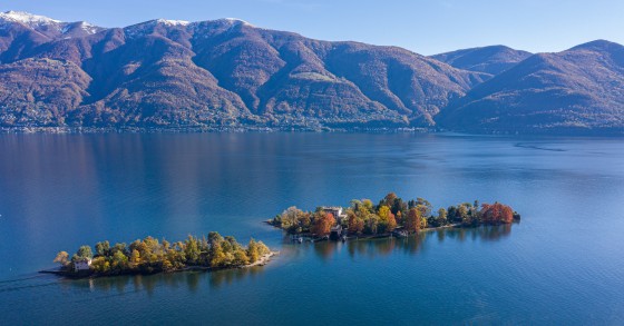 brissago