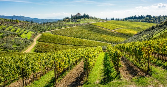 chianti
