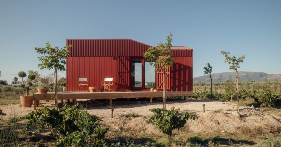 The Root è una casa vacanze prefabbricata e mobile immersa tra uliveti e vigneti sull'isola di Zante