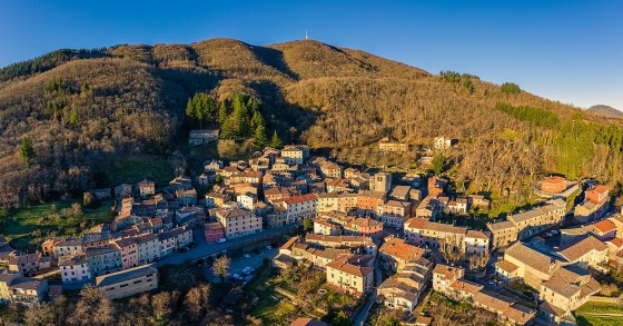 Montieri