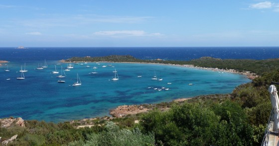 capo coda cavallo