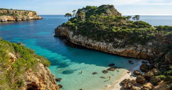 maiorca