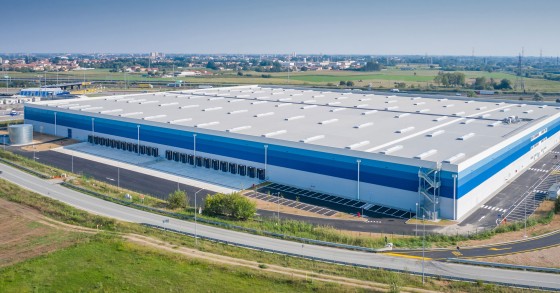 Carlyle polo logistico Mesero