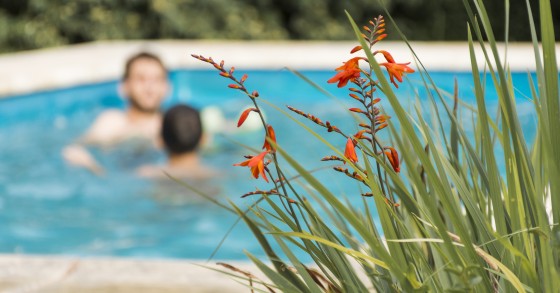 cheap property with a pool Italy