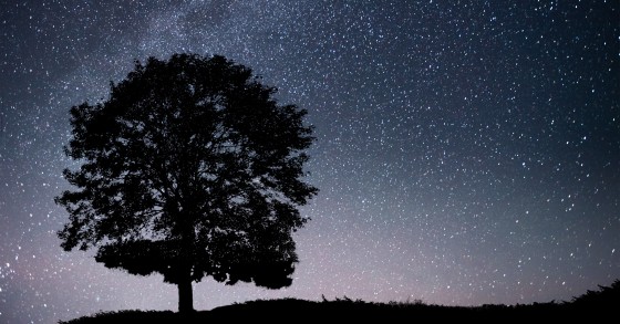 notte stellata