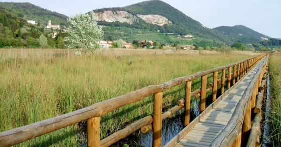 parco san rossore