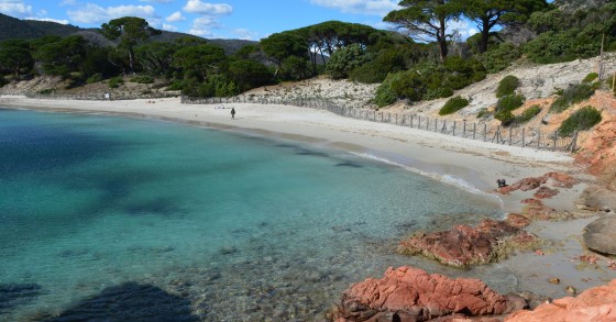 spiagge per nudisti in Italia