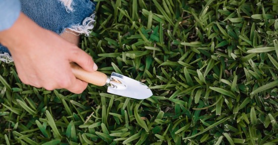Piccola paletta da giardino su un prato