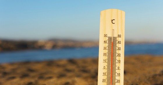 caldo