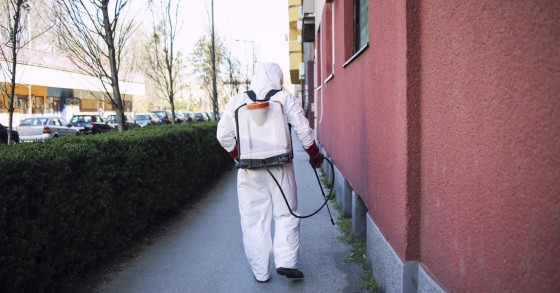 disinfestazione in condominio
