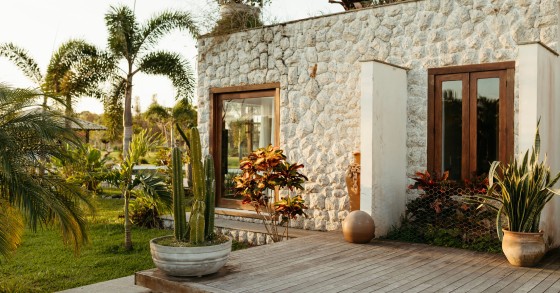 giardino tropicale
