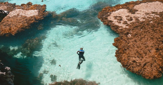 Snorkeling