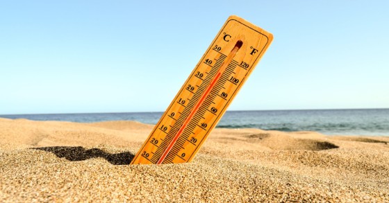 caldo