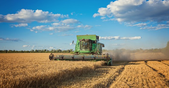 Agricoltura