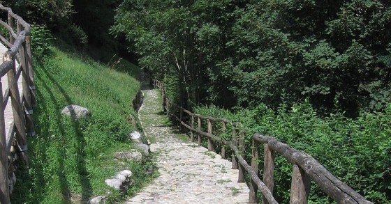 via mercatorum