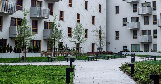Cortile condominiale