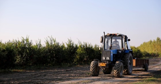 riscatto agrario