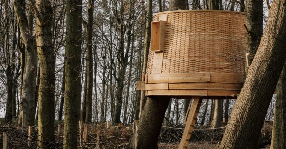 La casa sull'albero è stata costruita per la Biennale di Harewood del 2022 e si trova nella pittoresca campagna del West Yorkshire