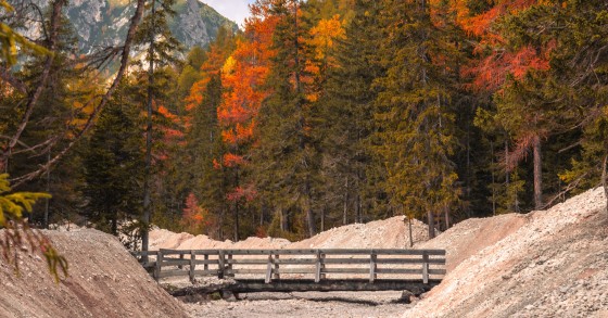 foreste italiane dove vedere il foliage