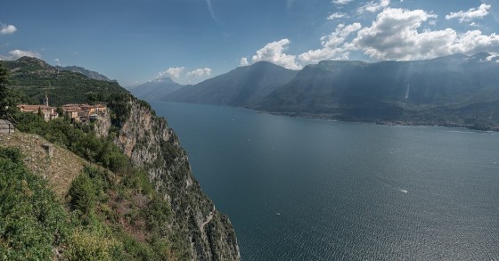 tremosine