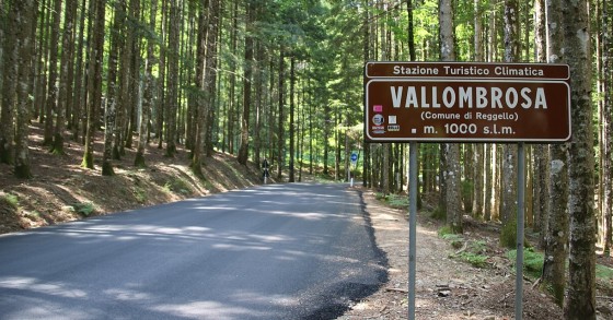 Vallombrosa