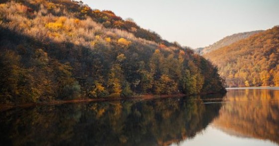 Foliage in Veneto: laghi dorati, vigneti rossi e boschi monumentali