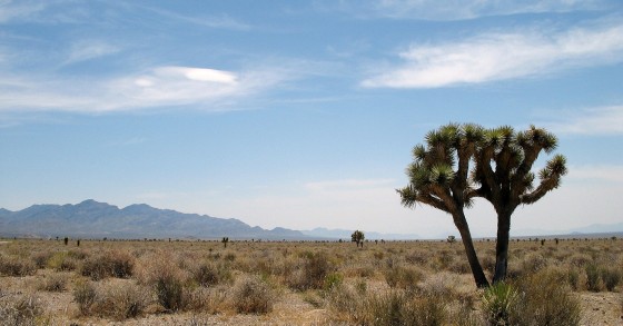 Tre cerchi, zero spigoli: la casa nel deserto che incornicia il cielo