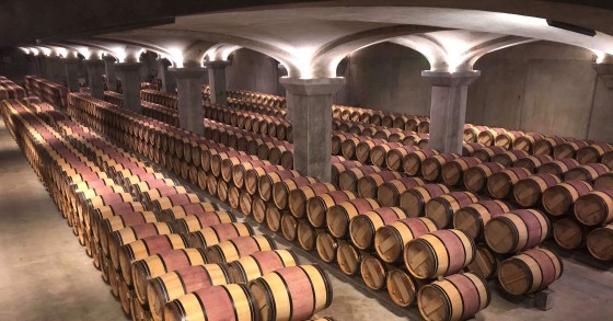 Gubbio tartufi e vendemmia