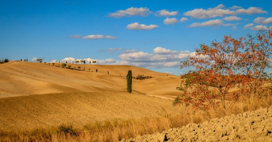 Novembre in Toscana: le date clou del tartufo e le tappe da non perdere