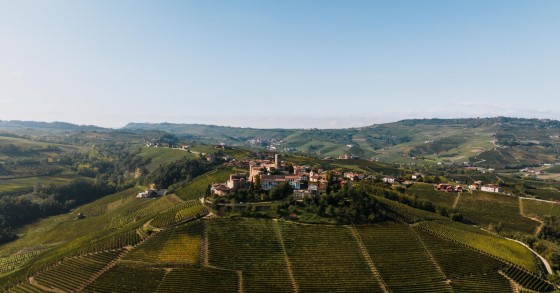 Langhe 2026: l’itinerario del Barolo tra castelli e cantine