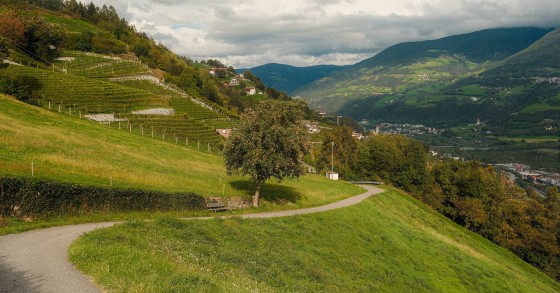 Alto Adige d’autunno: i waalwege tra castagne e vino nuovo