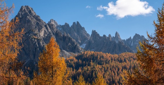 Autunno da vivere: 12 mete tra cervi, larici e calici