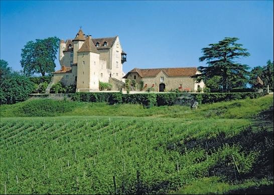 In vendita il castello di d'artagnan (foto)