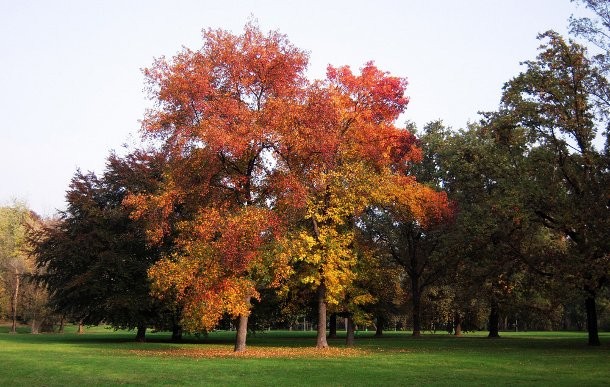 Berlusconi pronto a costruire "Milano 4"