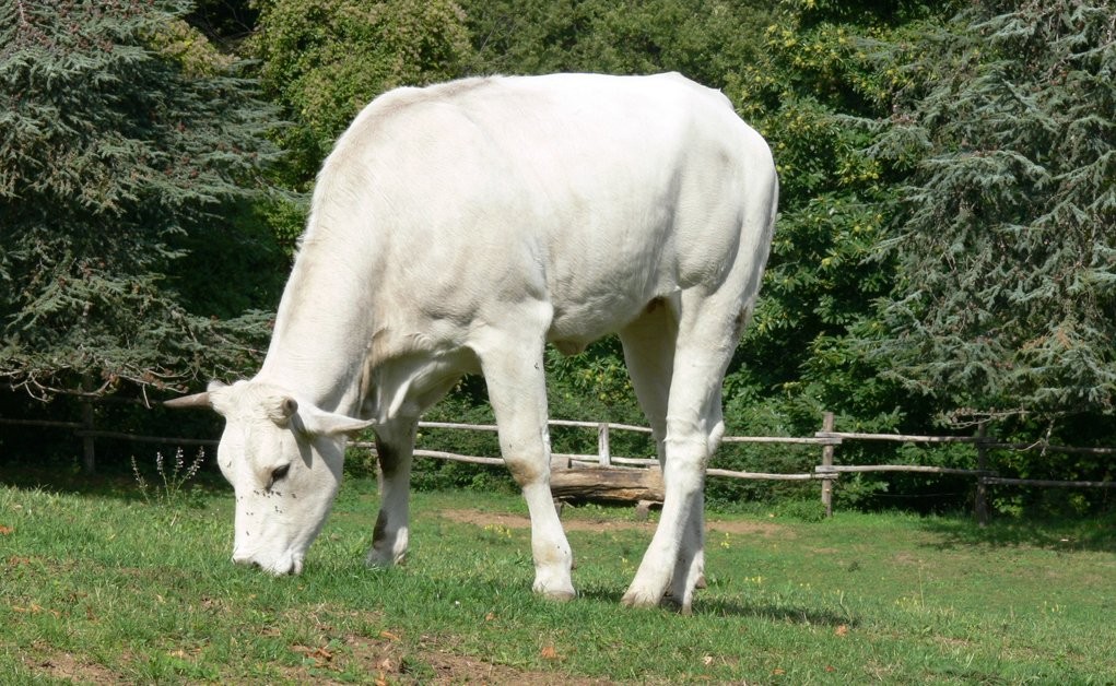 Come riconoscere un acquirente potenziale da un semplice curioso