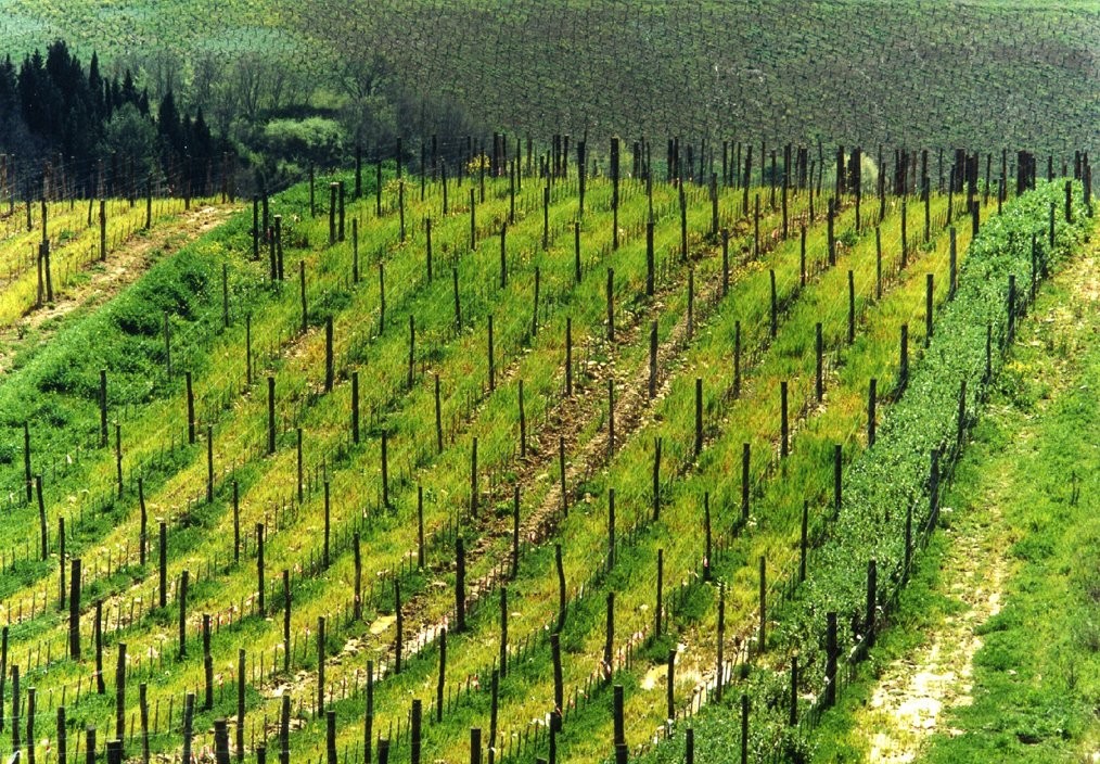 Google sfida apple sul tablet multitouch