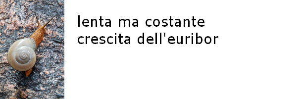 Previsioni euribor luglio 2010