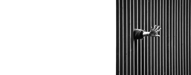 Dell'utri condannato per mafia: da arcore alle società immobiliari