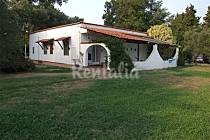 Le migliori case in affitto quest'estate al sud