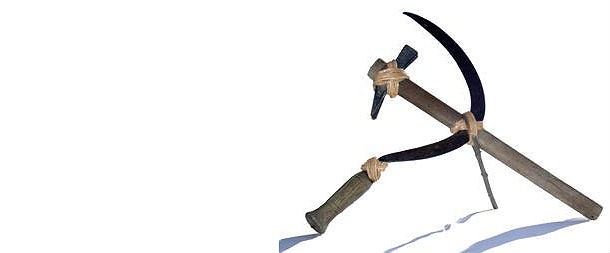 Condividere casa, adesso tocca anche ai politici