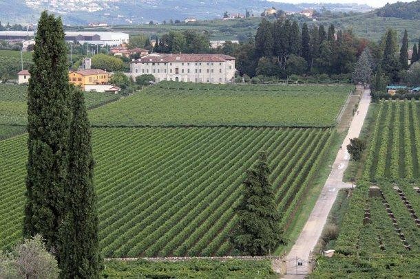 villa_01_672-458_resize