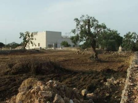 masseria